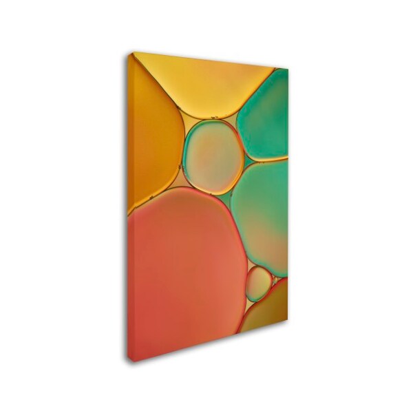 Cora Niele 'Red Yellow And Green Drops' Canvas Art,16x24